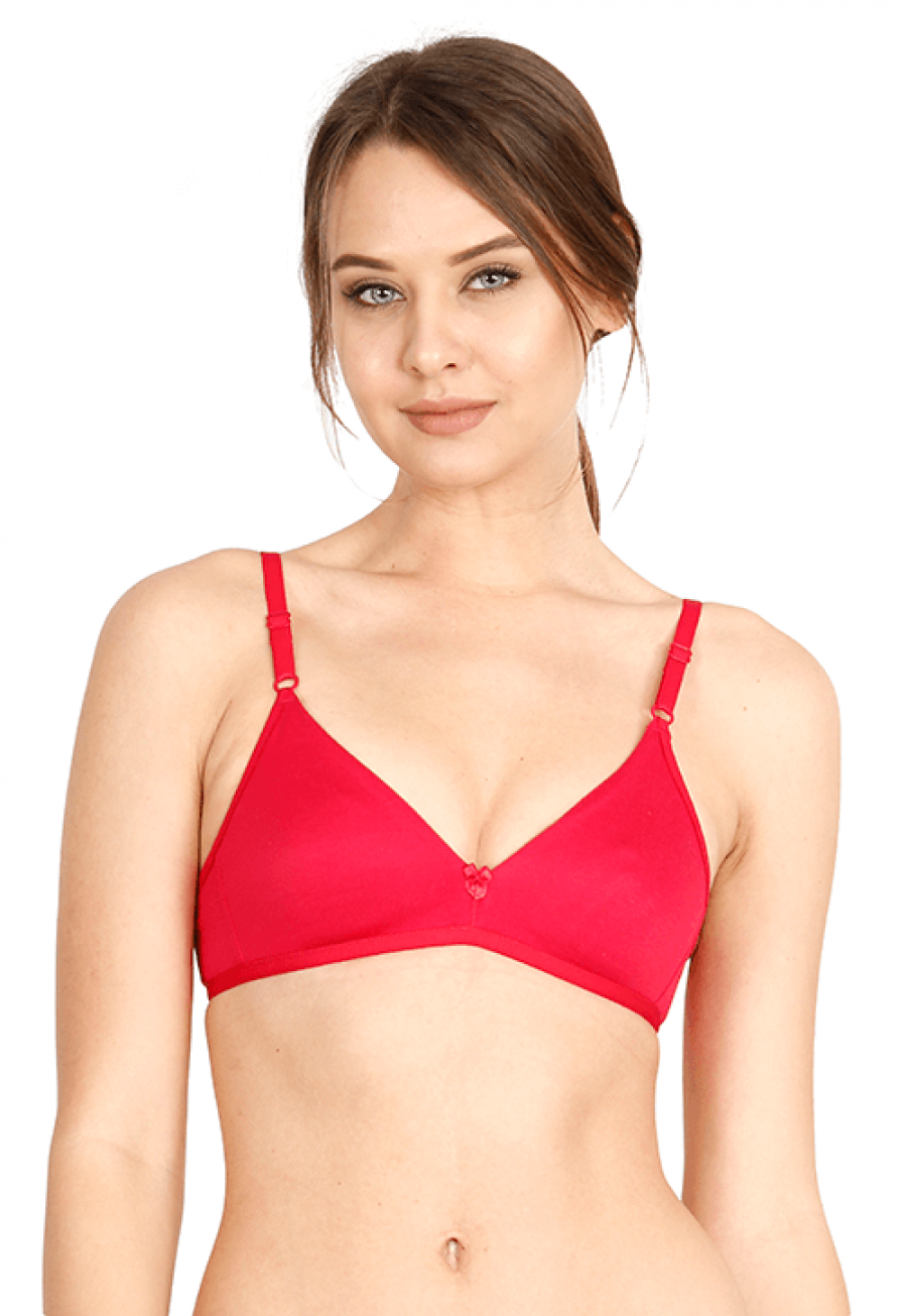 1541238213-h-250-Economy_Laiza_D-Pink_01.png